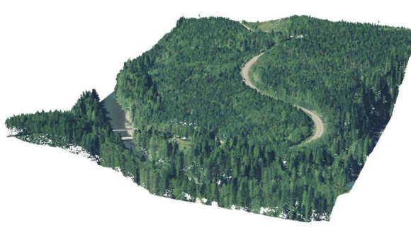 LiDAR RGB forest aerial drone survey